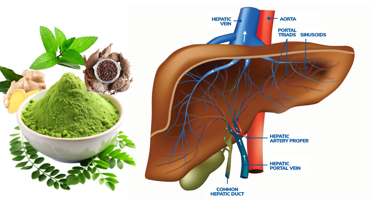 The Science Behind Moringa Tea: A Natural Approach to Liver Detoxification