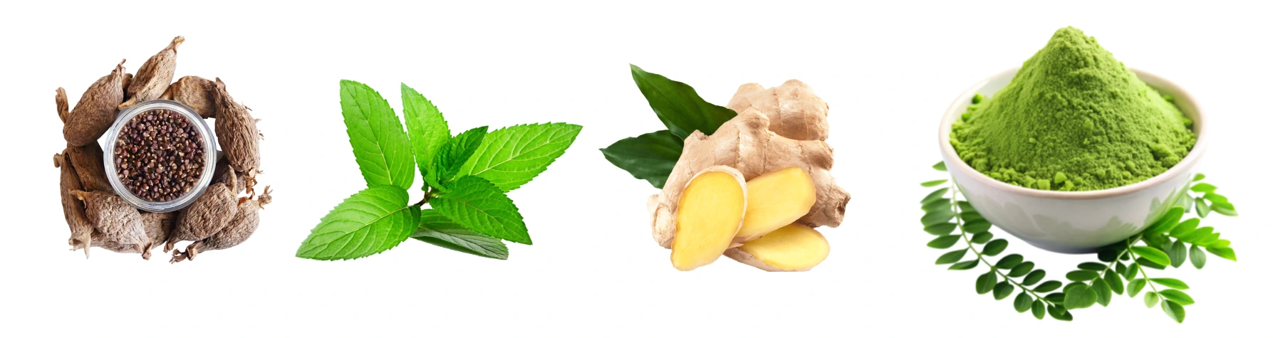 Tigo Nova Organic Moringa Tea Ingredients